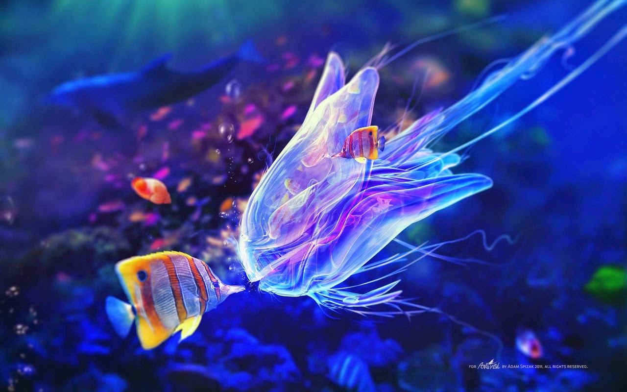 Most Beautiful Sea Creatures In The World